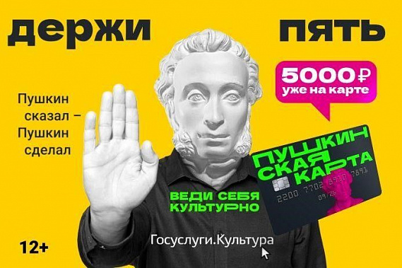 Донские депутаты предлагают выдавать «Пушкинскую карту» с 6 лет
