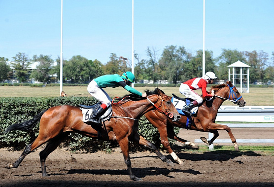 До новых встреч