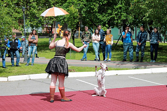 «Спляши-ка, Рексик!»