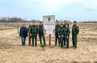 В Ростовской области проходит акция «Сад памяти»