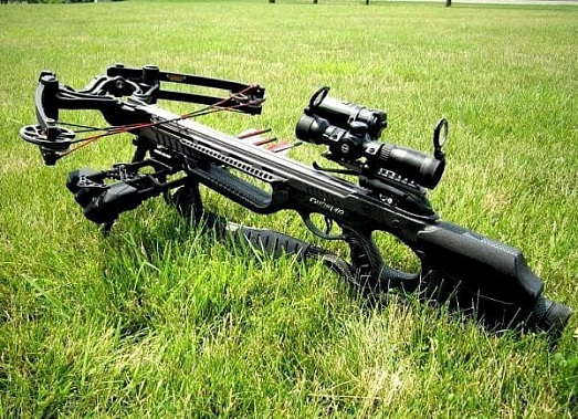 Разрешить охоту с луком и стрелами предложил депутат Госдумы от Ростовской области