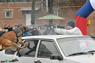 Росгвардейцы начали отмечать свой праздник