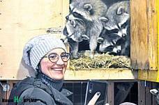 Дом для счастливых енотов