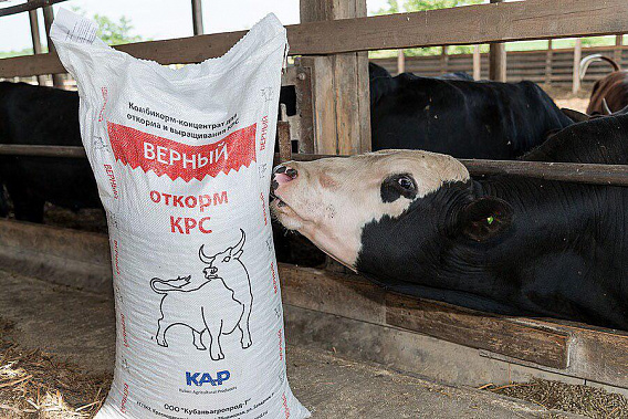 Источник фото: press-release.ru