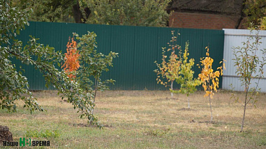 Пожалуйста, помните