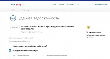 О своих долгах можно узнать на портале госуслуг