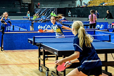 Настольный «Тихий Дон»