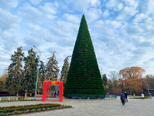 Ростовская ёлка стала на 2 метра выше новочеркасской