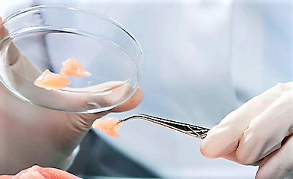 В баранине в ходе исследования выявили препарат, которого в мясе не должно быть