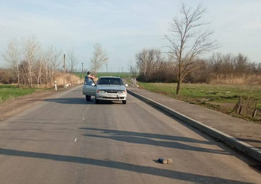 В Азовском районе машина сбила 6-летнего мальчика
