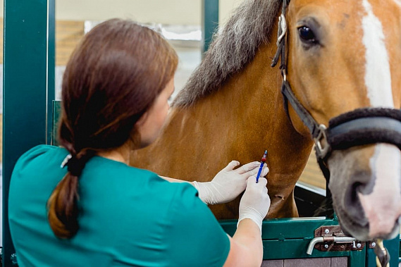 В Орловском районе сняли карантин по бешенству