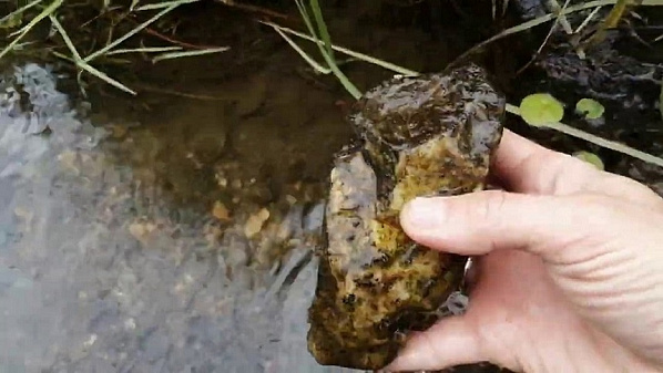 Так выглядит золотоносная порода.