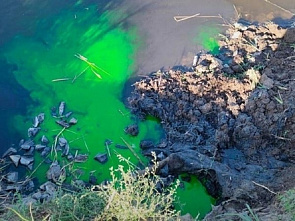 В водоотводном канале близ батайского поселка Солнечного выявлен сброс стоков