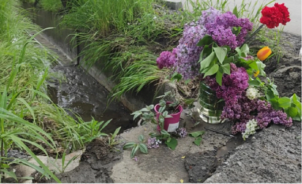 К водостоку, где погибла пожилая учительница, ростовчане несут живые цветы. Источник фото: 