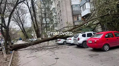 В Ростове и области устраняют последствия штормовых выходных