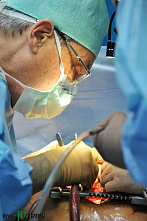 Трансплантология набирает обороты