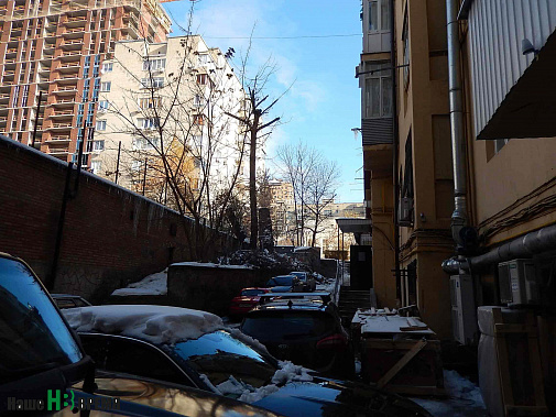 В сентябре ветки этого дерева практически лежали на крыше дома справа.
