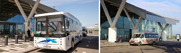 На продажу выставлены автотранспортные предприятия, обслуживавшие маршруты в аэропорт «Платов»