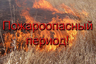В канун пожароопасного периода в донском правительстве обсудили меры профилактики лесных и ландшафтных пожаров