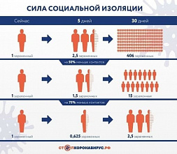 Ростовская область перешла на режим самоизоляции