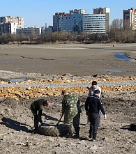 В Ростове-на-Дону уловом "охотников" стали 80 покрышек