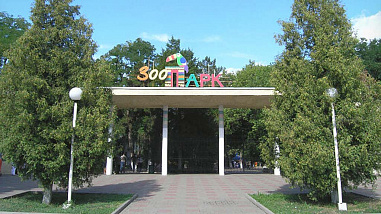 В Ростовском зоопарке расскажут о соцподдержке детей
