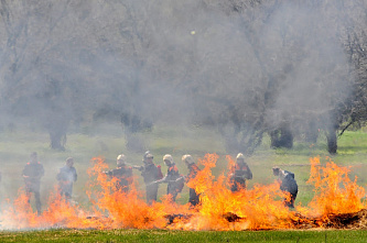 Донское МЧС отработало тушение ландшафтного пожара