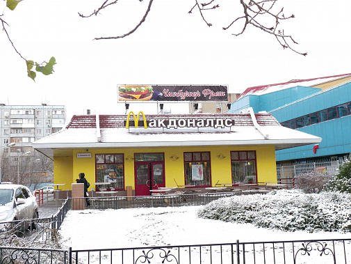 Что слону — дробина