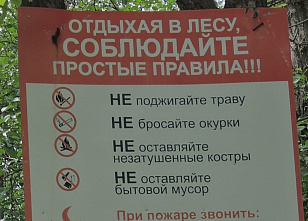 Гуково: устранили нарушения законодательства в сфере охраны лесов