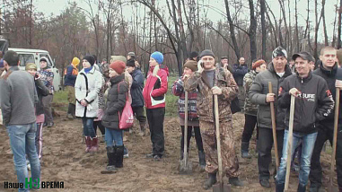 Посадить не дерево, но лес