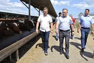 Полгода на Дону растет производство мяса и яиц