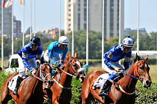 Как сейчас работает Ростовский ипподром