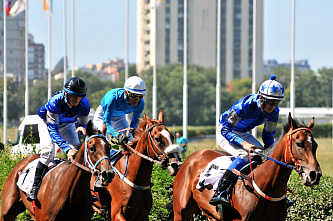 Как сейчас работает Ростовский ипподром