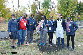 Клены на аллее Дружбы