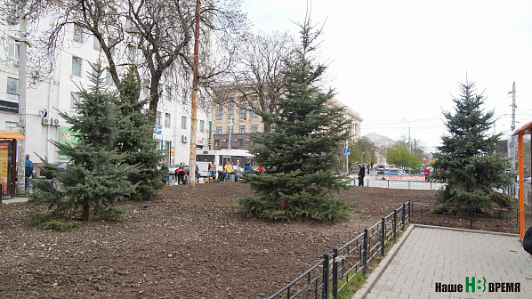 Площадь Здоровья около Дворца спорта. Новые посадки вместо вырубленных деревьев – классика компенсационного озеленения.