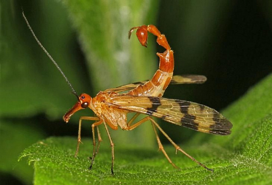 Источник фото: ru.pinterest.com