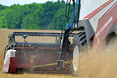 На полях Ростовской области идет уборка зерновых