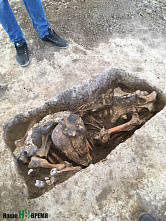 История – под ногами