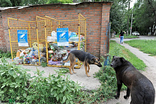 Джинн из пластиковой бутылки. Как приобщить его к цивилизации?