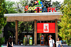 18 07 2025 Ростовский зоопарк продолжает традиции юннатского движения