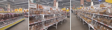 В ростовском «Ашане» на Пойменной никакого ажиотажа нет