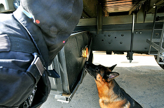 Донские ОМОНовцы отметили свой профессиональный праздник