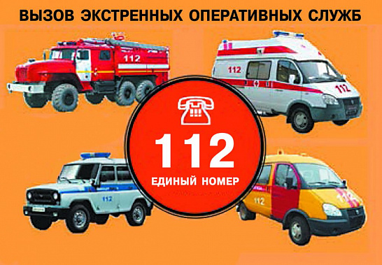 В первые дни наступившего года от жителей Дона в службу «112» поступило свыше 23 тыс. звонков