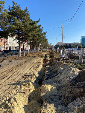 Губернатор запретил спиливать деревья без его письменного разрешения