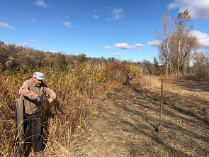 В хуторе Погорелов высадили фруктовые деревья