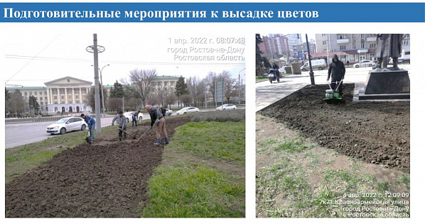 В весенний период в Ростове высадят более 11 тысяч деревьев
