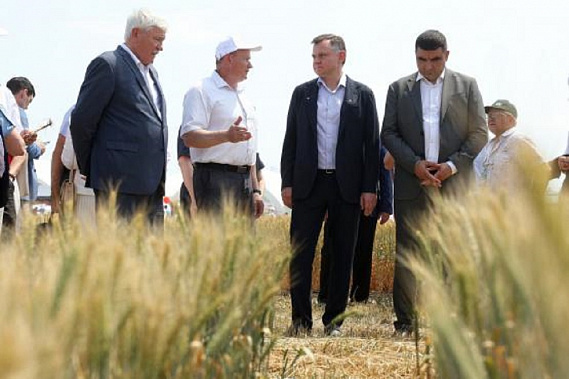 Источник фото:  правительство Ростовской области.