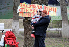 Когда на деревьях распускаются...  скворечники