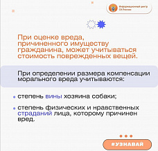 10 11 2024 Как добиться возмещения вреда в результате нападения собаки