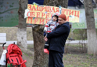 Когда на деревьях распускаются...  скворечники
